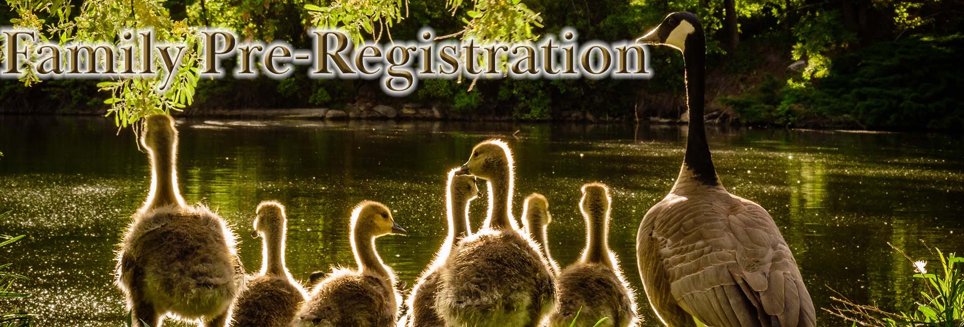 Family_Pre-Registration_-_Geese_Family.jpg